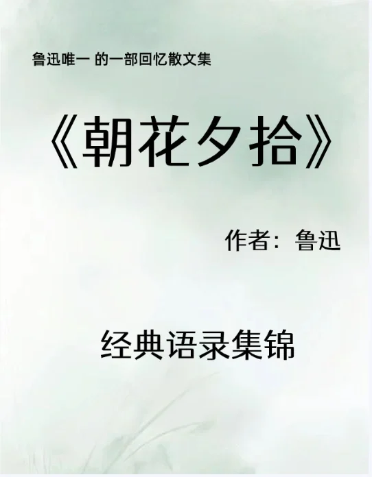 《朝花夕拾》经典语录，千万不要错过！