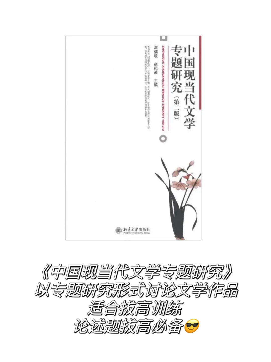 📖文学考研经验贴 | 作品太多读不完怎么办