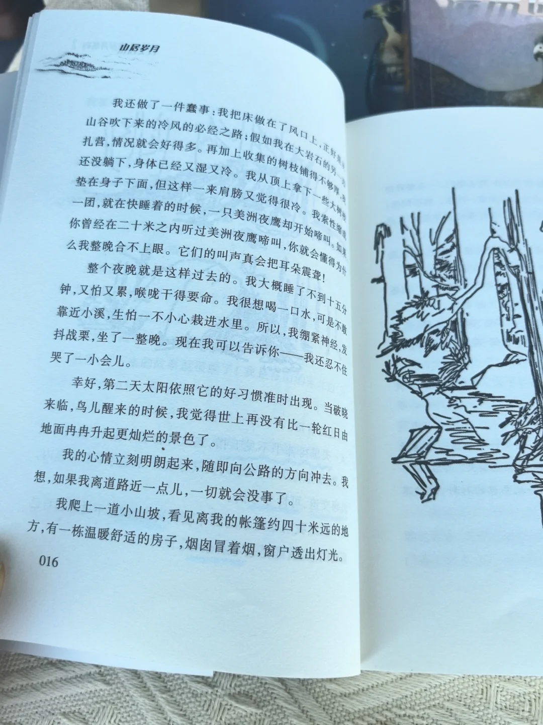 不愧是纽伯瑞大奖，让我家娃彻底戒掉手机瘾