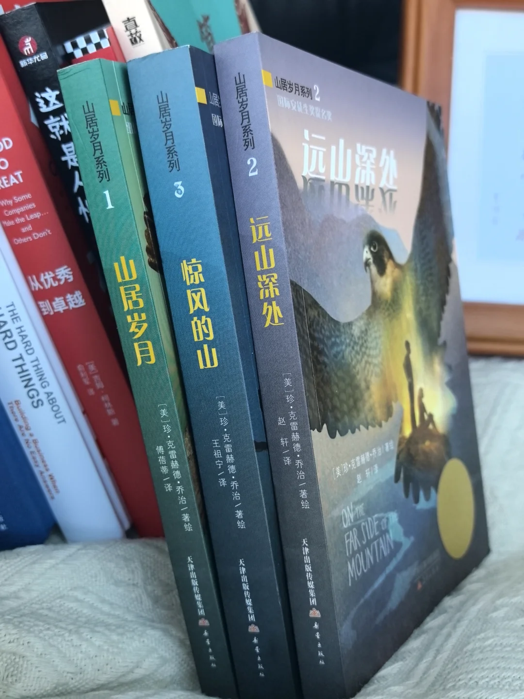 不愧是纽伯瑞大奖，让我家娃彻底戒掉手机瘾
