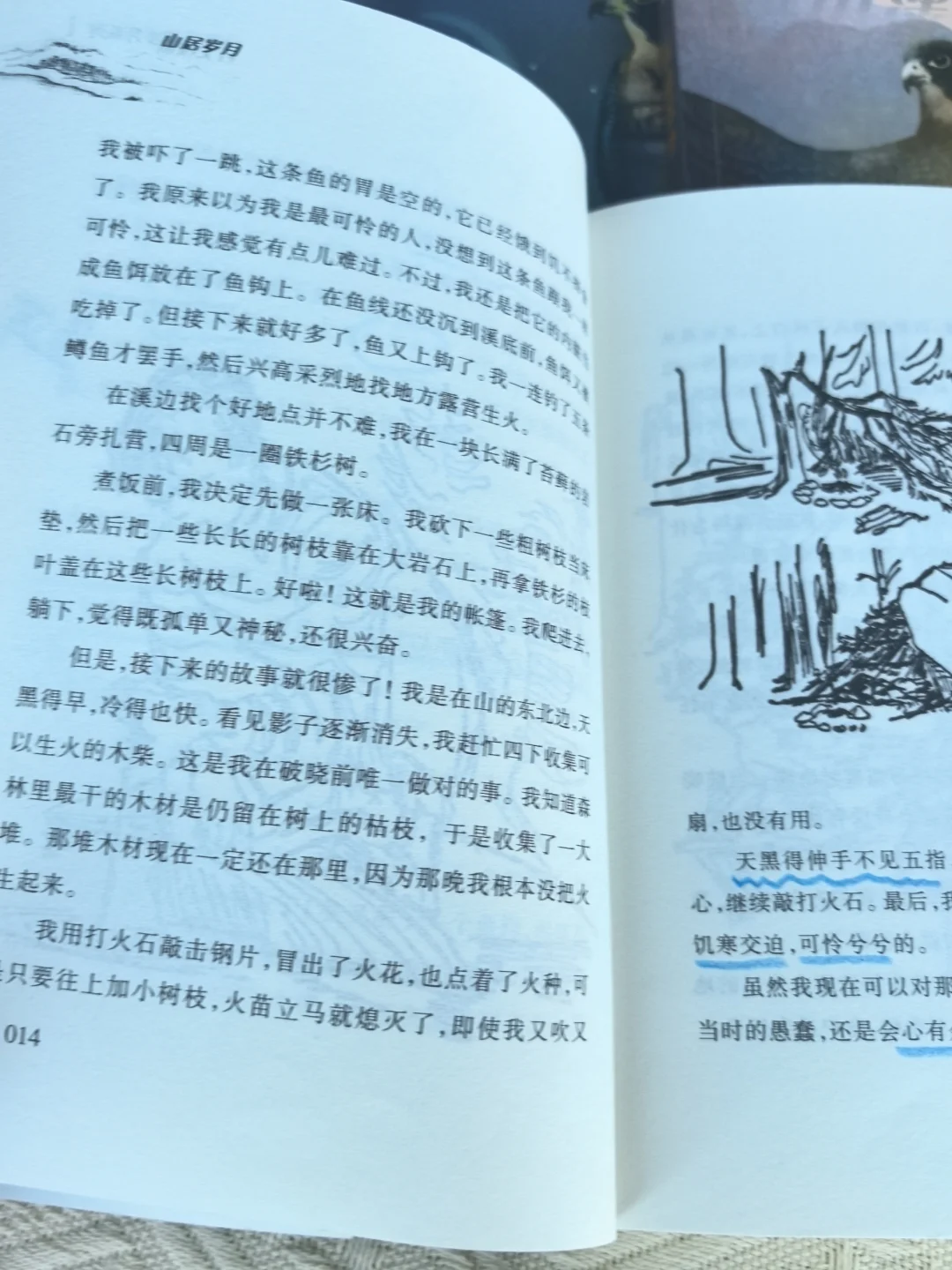 不愧是纽伯瑞大奖，让我家娃彻底戒掉手机瘾