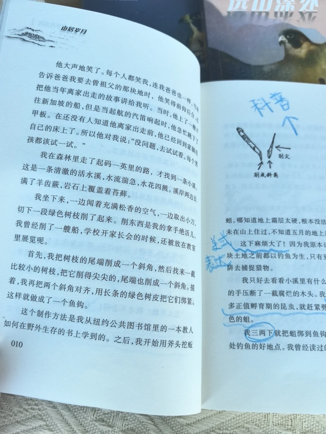 不愧是纽伯瑞大奖，让我家娃彻底戒掉手机瘾