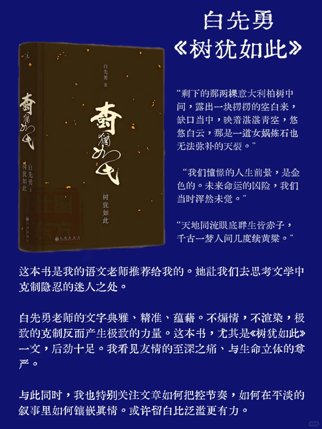 语文常年第一，我读了这些书。
