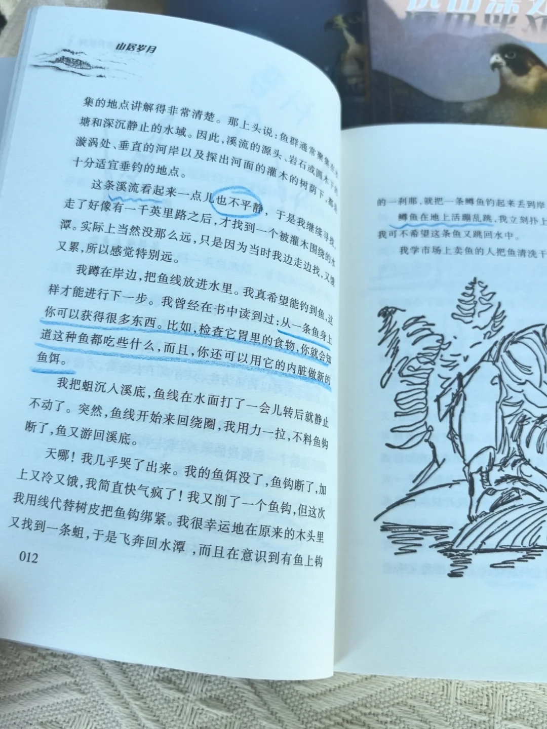不愧是纽伯瑞大奖，让我家娃彻底戒掉手机瘾