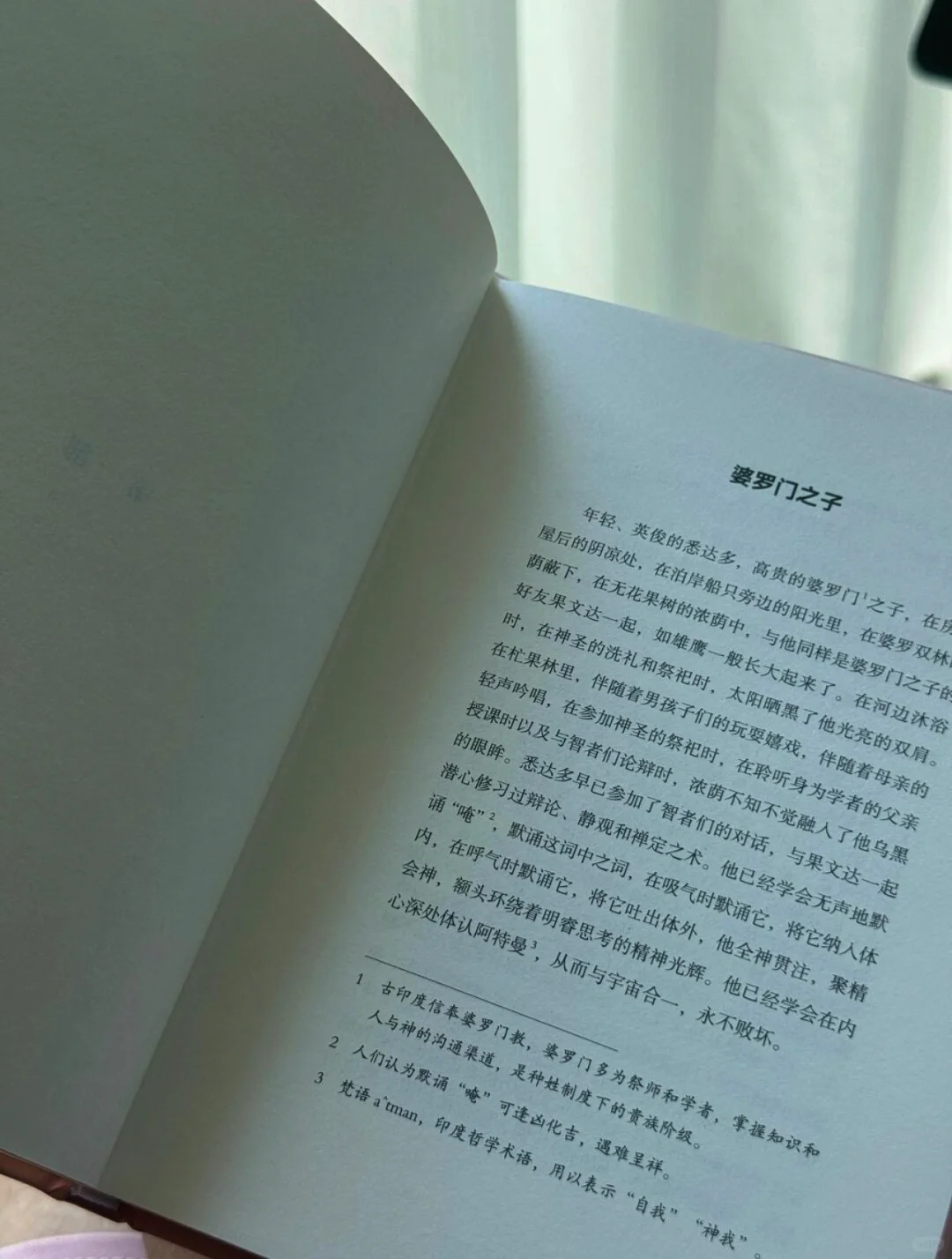 救命！读《悉达多》治好了我的精神内耗 🥺