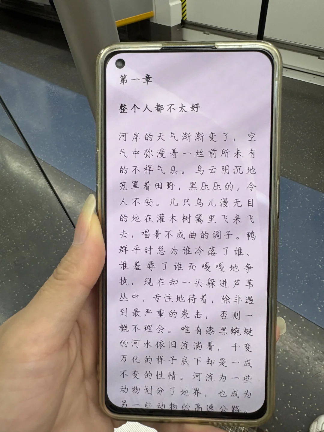 啊啊啊啊❗我确定是电子书自由