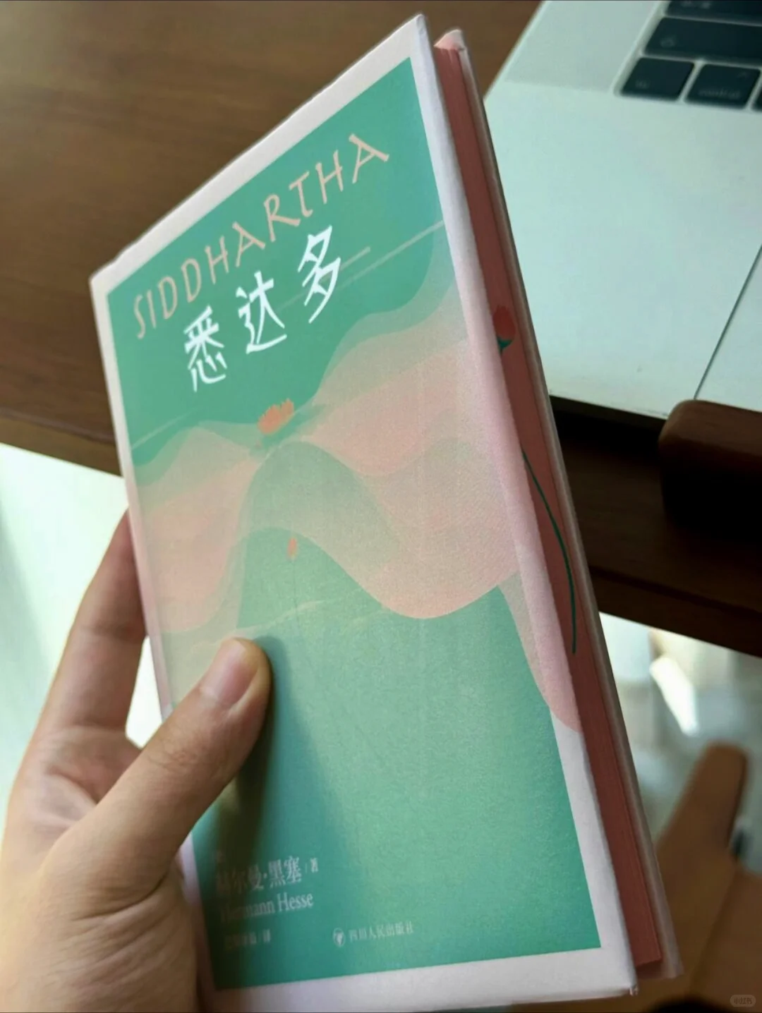 救命！读《悉达多》治好了我的精神内耗 🥺