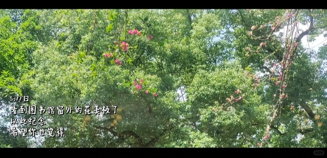 我为什么觉得读散文是最好的提升方法10.0