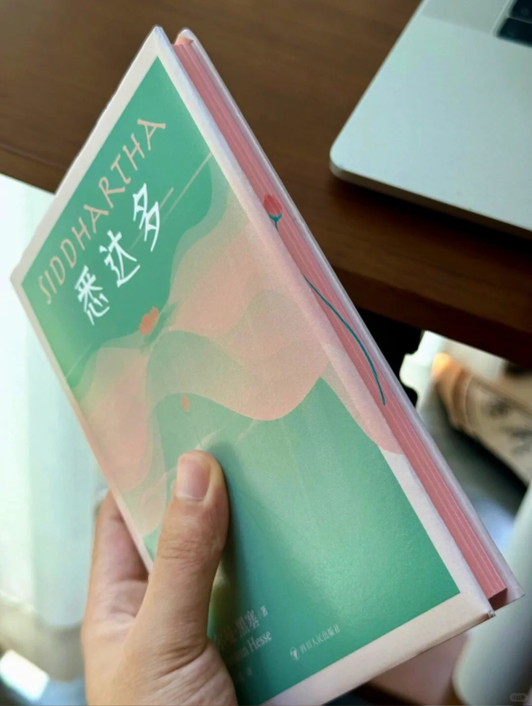 救命！读《悉达多》治好了我的精神内耗 🥺
