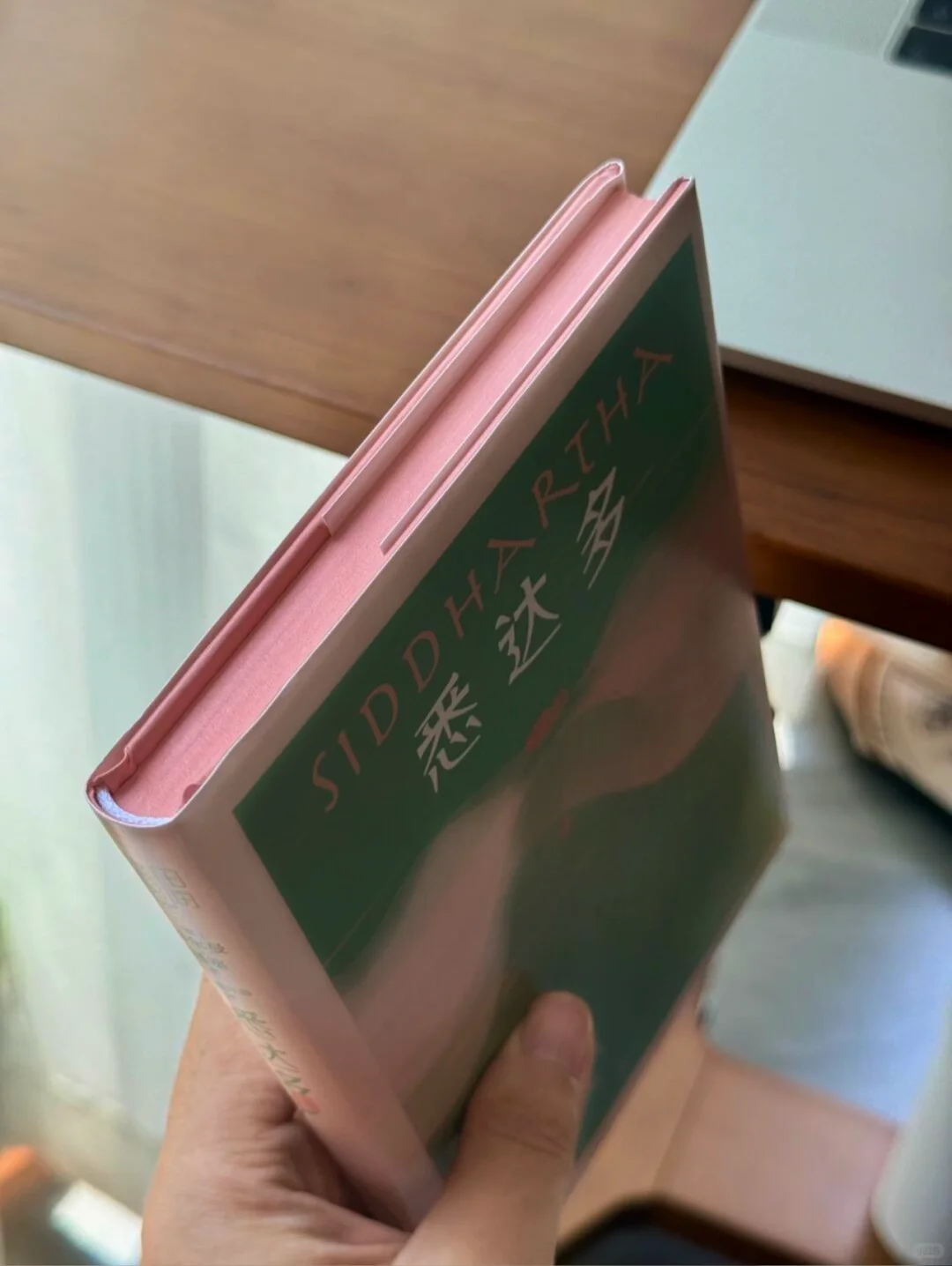 救命！读《悉达多》治好了我的精神内耗 🥺