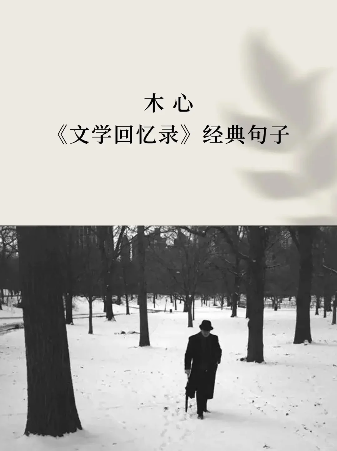 书中经典，句句入心！