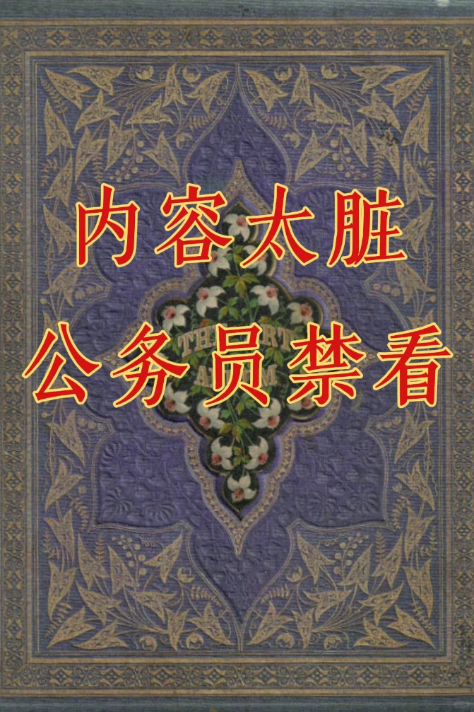 内容有点脏，不建议公务员阅读这本。