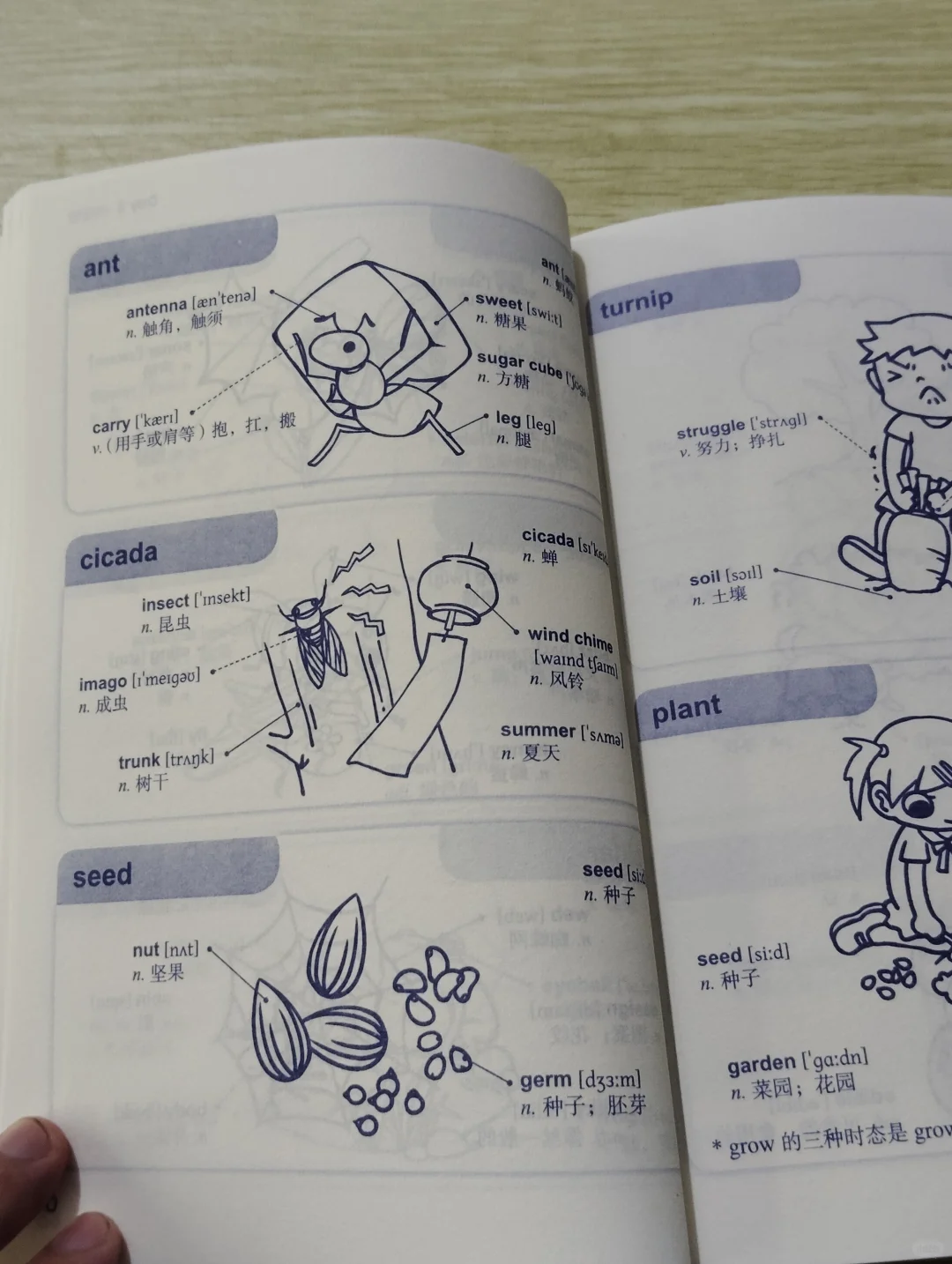 这才叫单词书😭其他的只能叫单词表‼‼‼