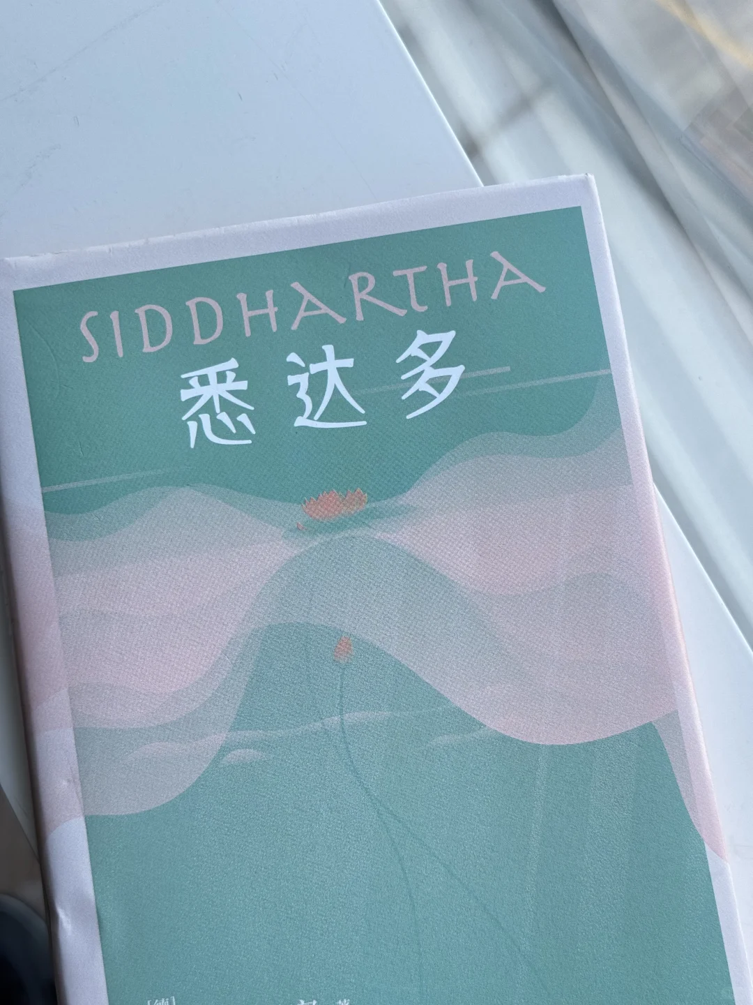 🌊《悉达多》10元治愈焦虑！