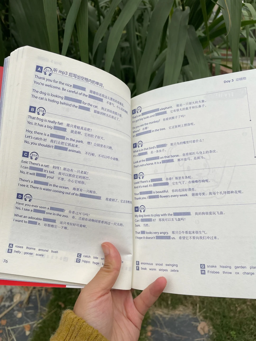 瞬间对英语兴趣飙升了1000000%