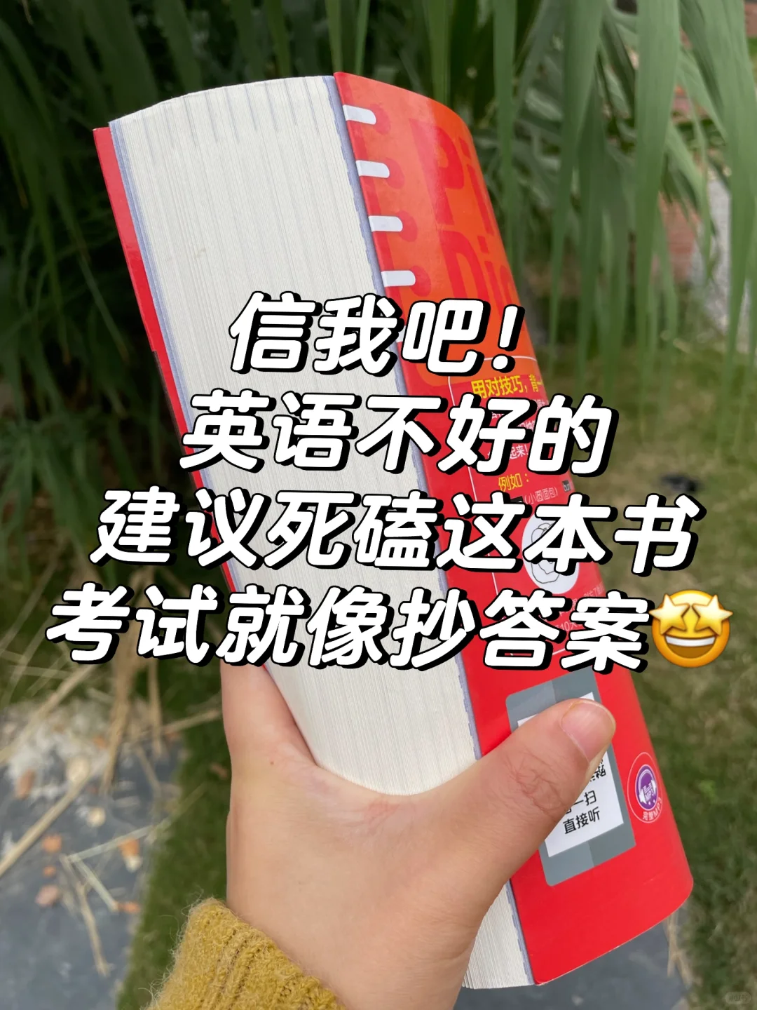 瞬间对英语兴趣飙升了1000000%