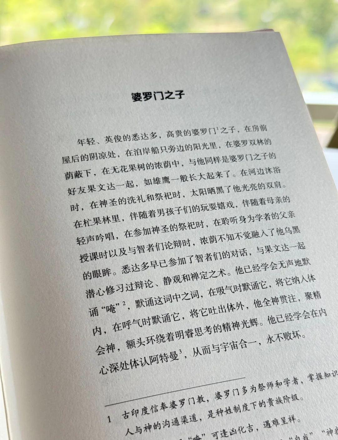 🌊《悉达多》10元治愈焦虑！
