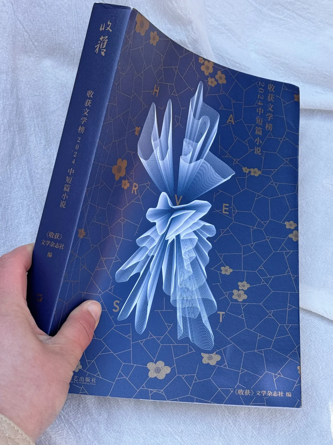 文字迷必入！收获文学榜中短篇合集太宝藏了