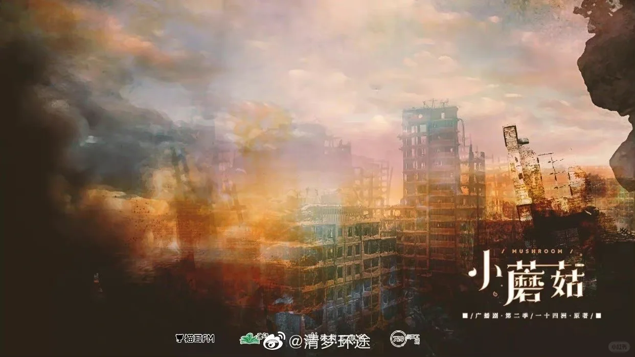 一十四洲真是一个宝藏太太，小蘑菇绝