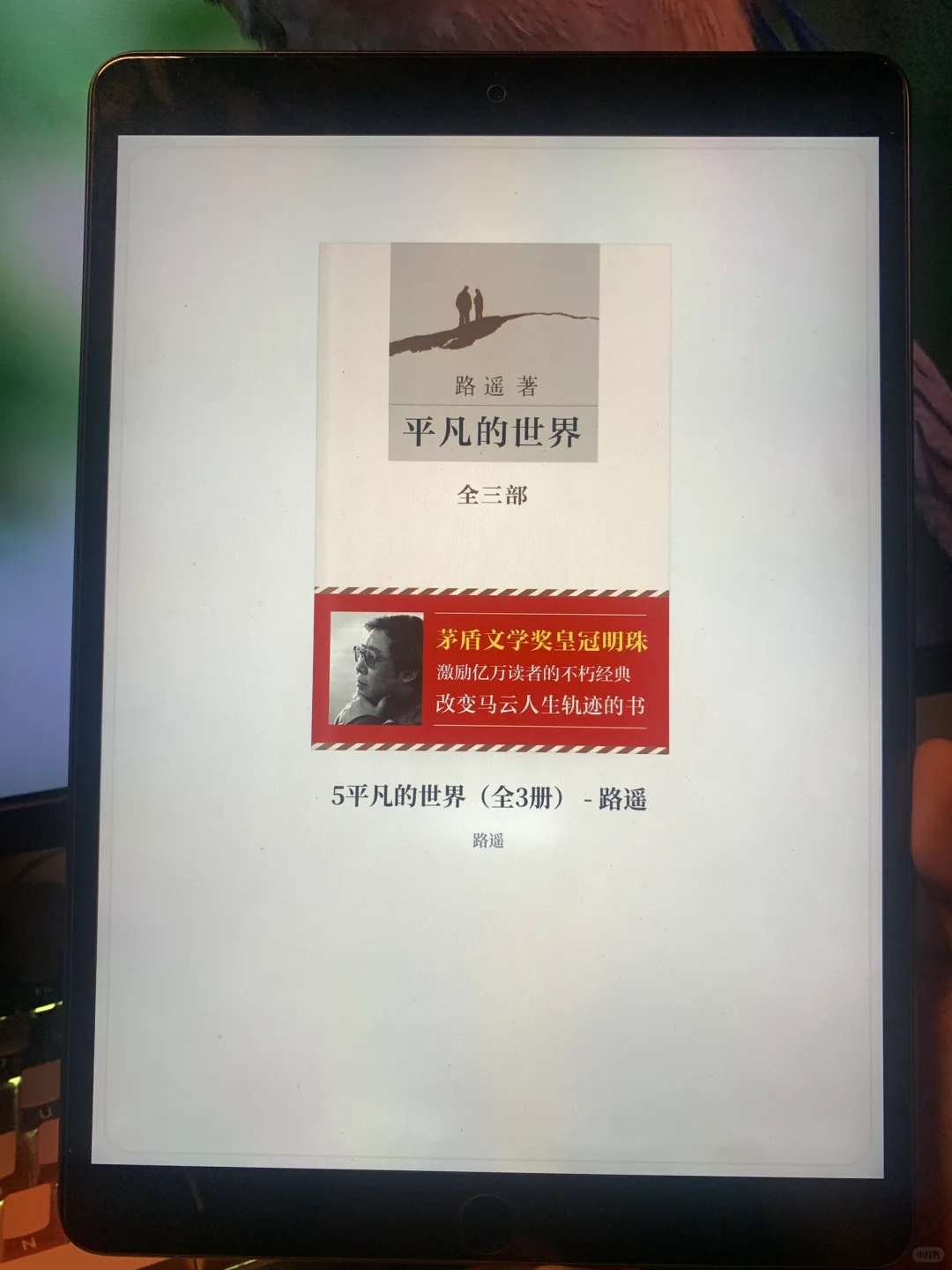 📚 2025年了，还有人不会用iPad图书app