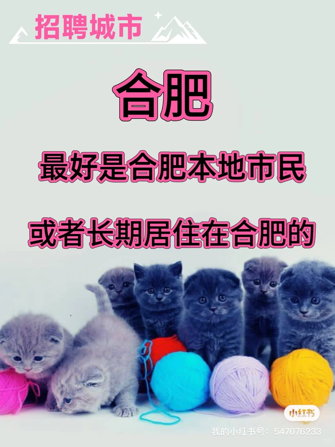 不画饼，福利实打实！！！