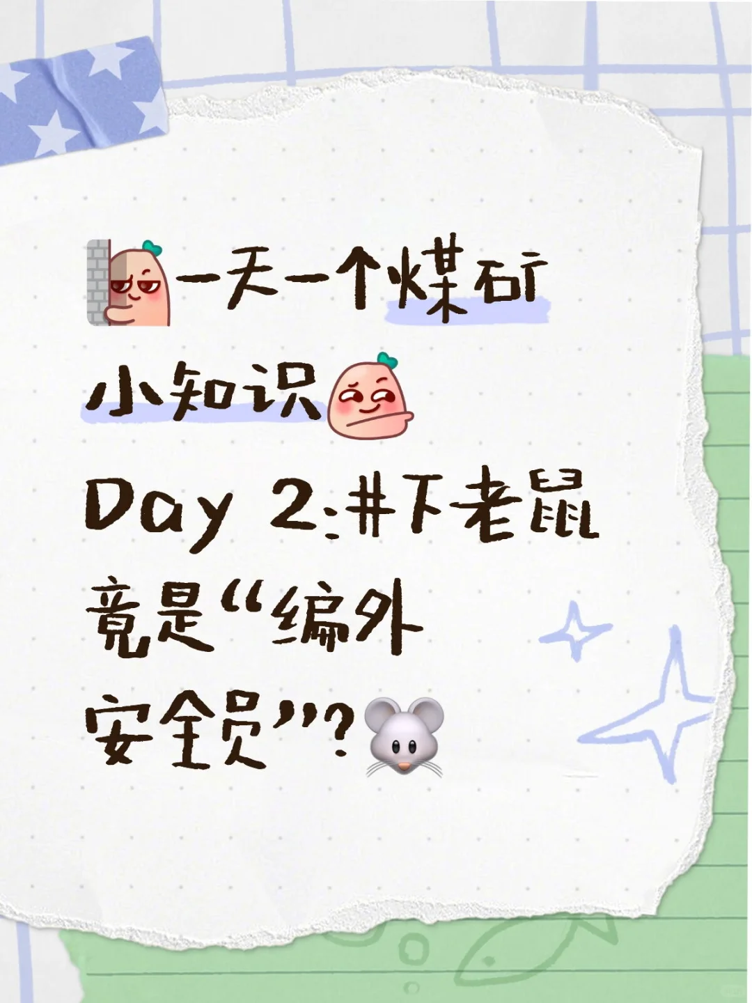 矿工不许打老鼠？井下黑猫警长真实身份曝光