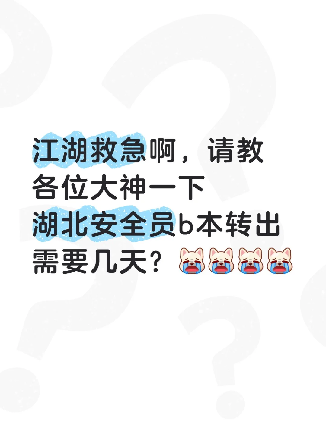 B本转出