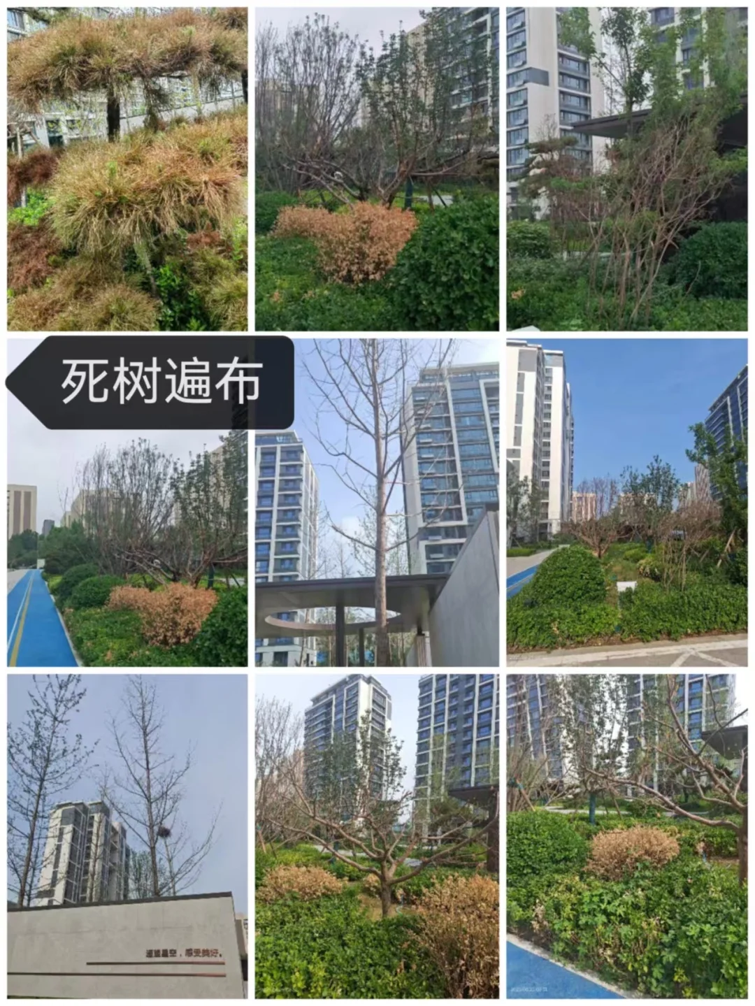 石家庄城发投云华