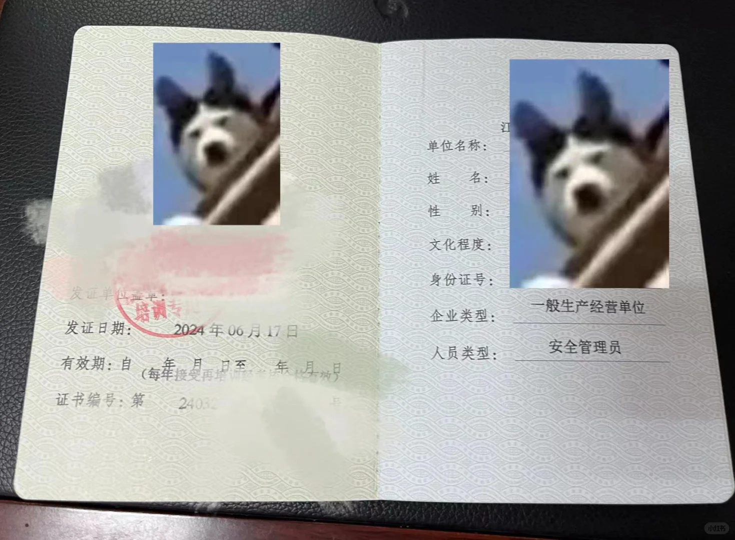 公司让我考安全员证书