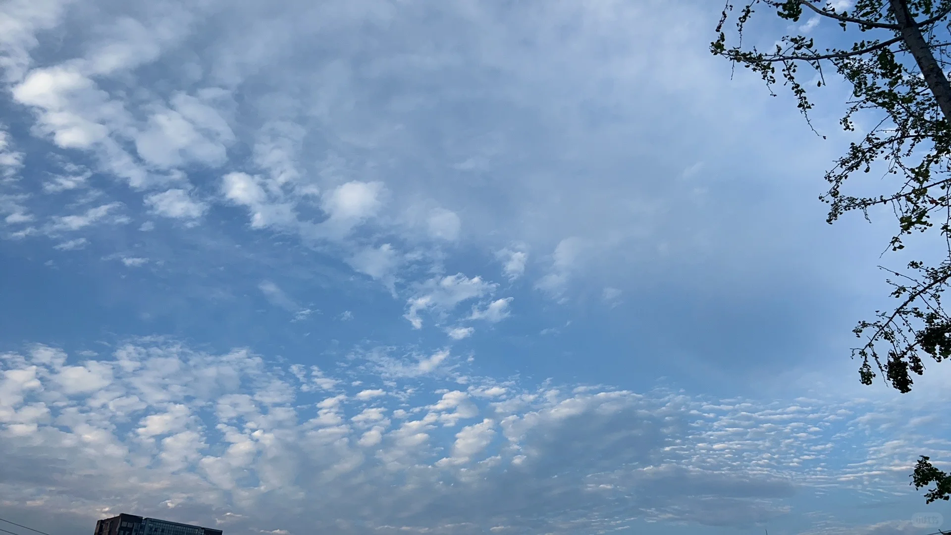 急聘建筑施工专业的注册安全工程师