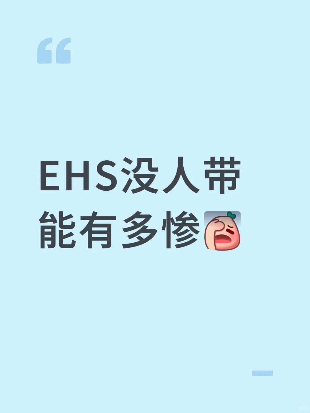 EHS没人带能有多惨