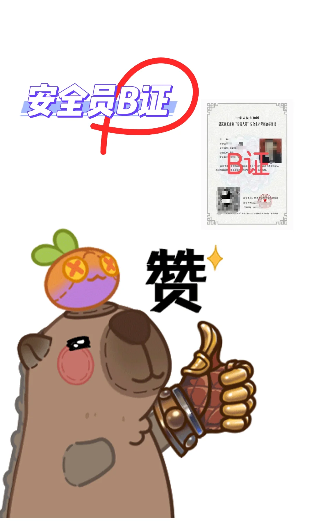 安全员B证🔥