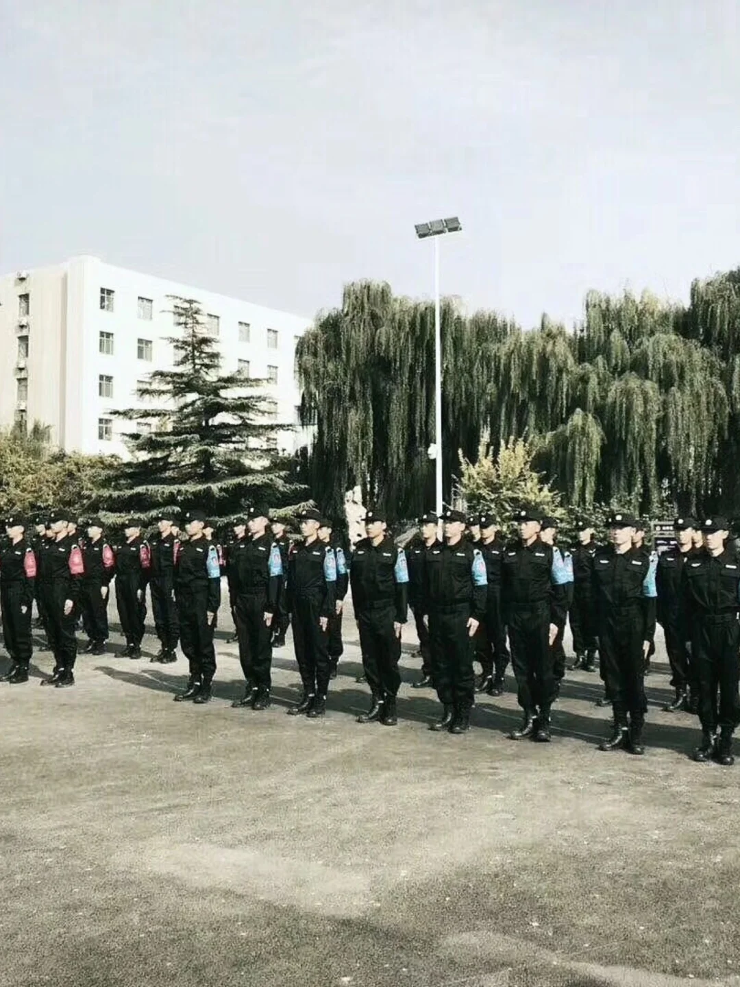 航空安全员培训