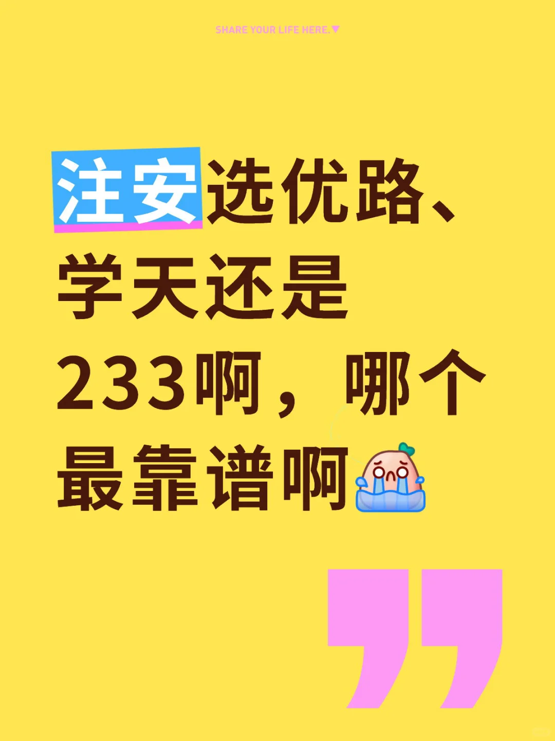 注安