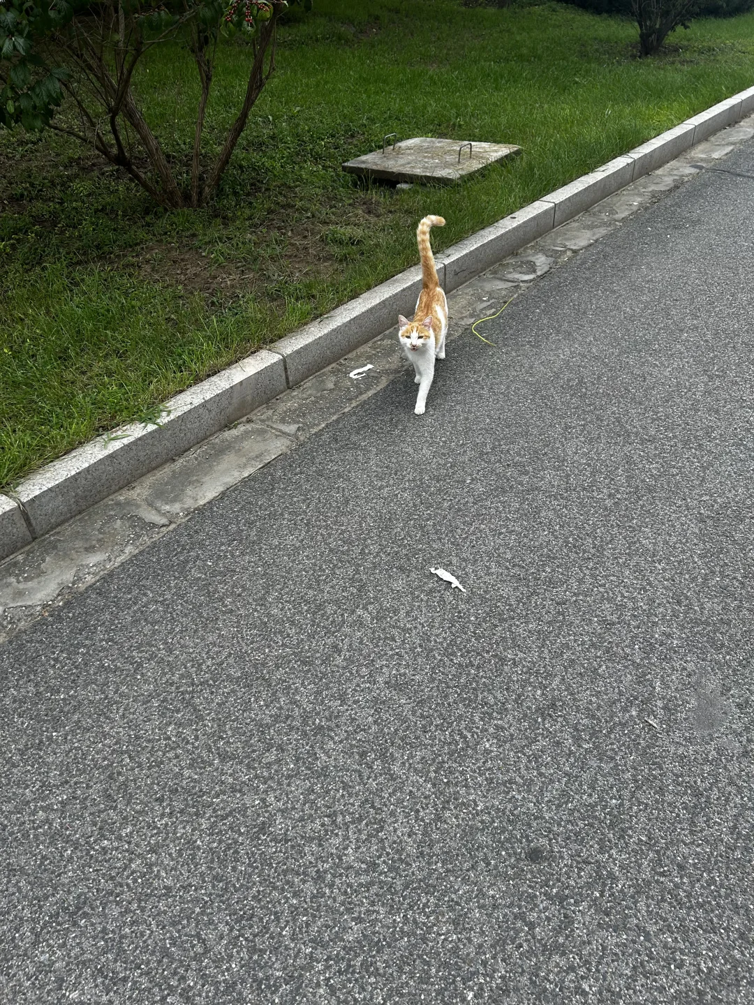 河北建筑工程学院