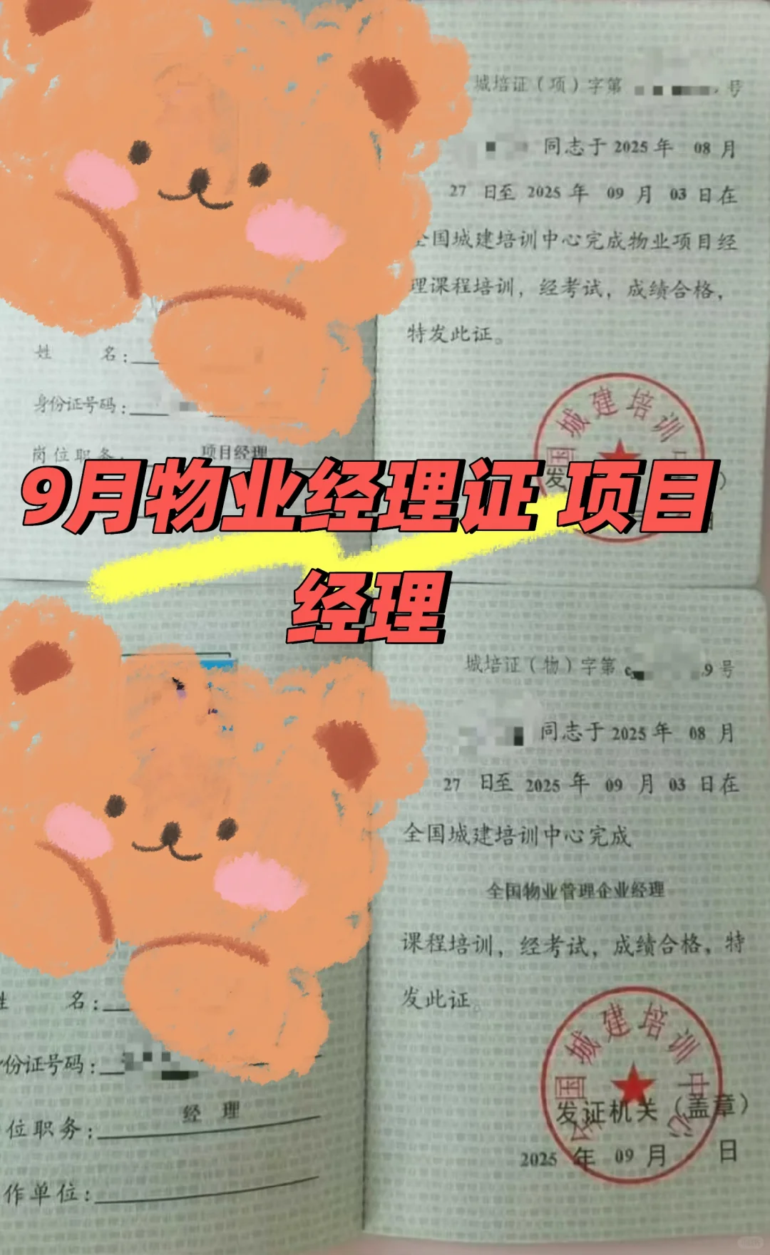 青云之路-项目经理 经理