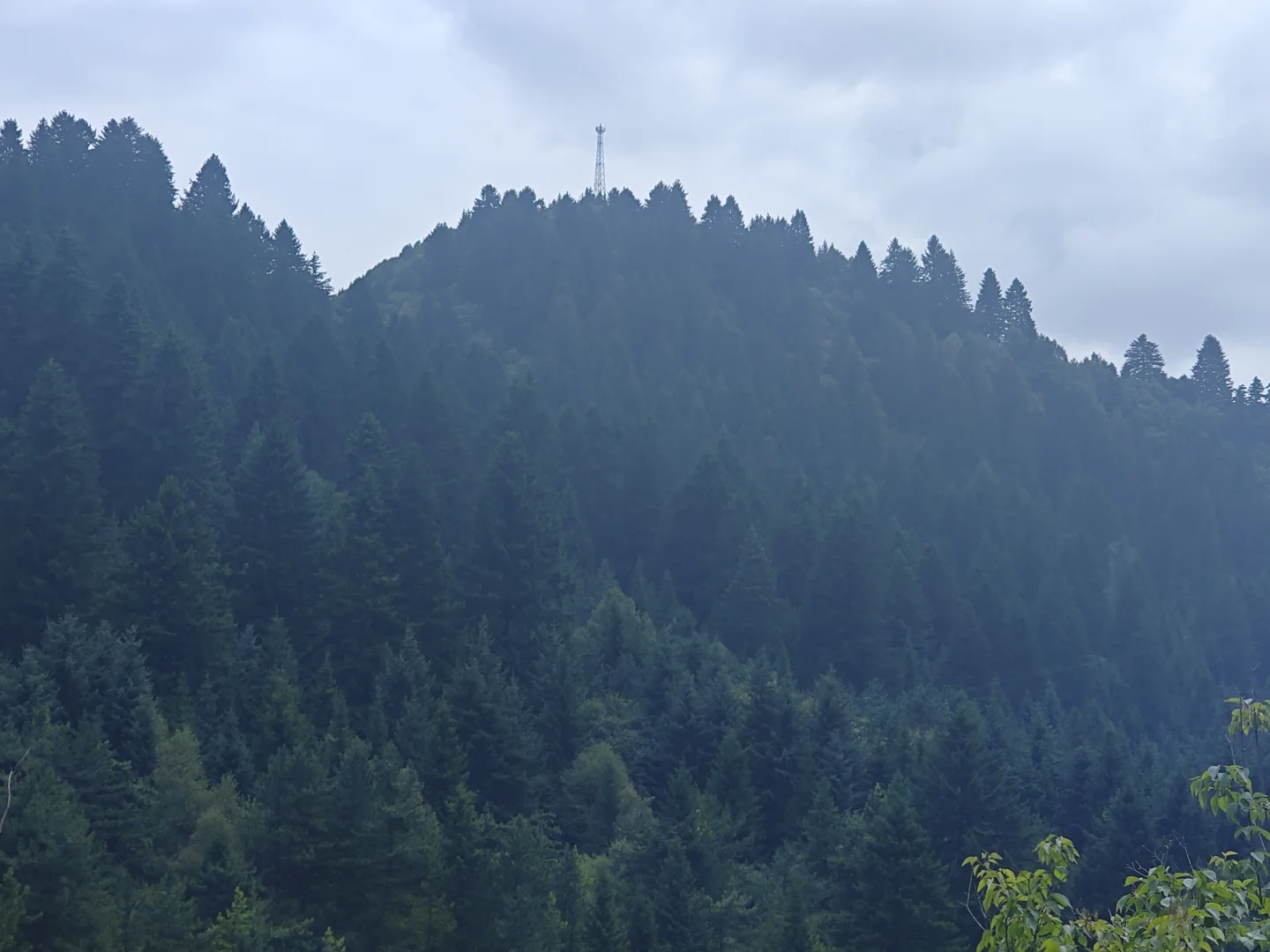 找 矿山应急安全员