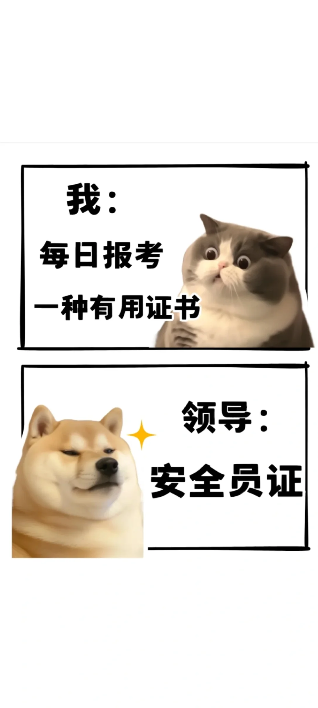 河北安全员证到底有多香