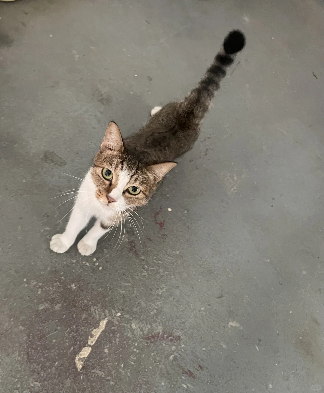 老板让我考安全员证书