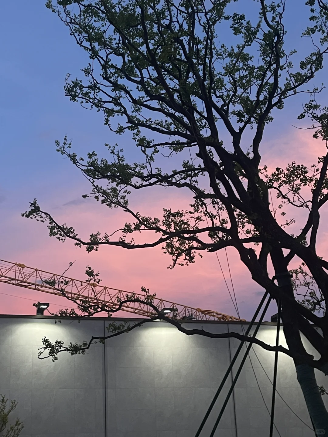 ＃武汉城建·楚宝里《景观 ❤️》