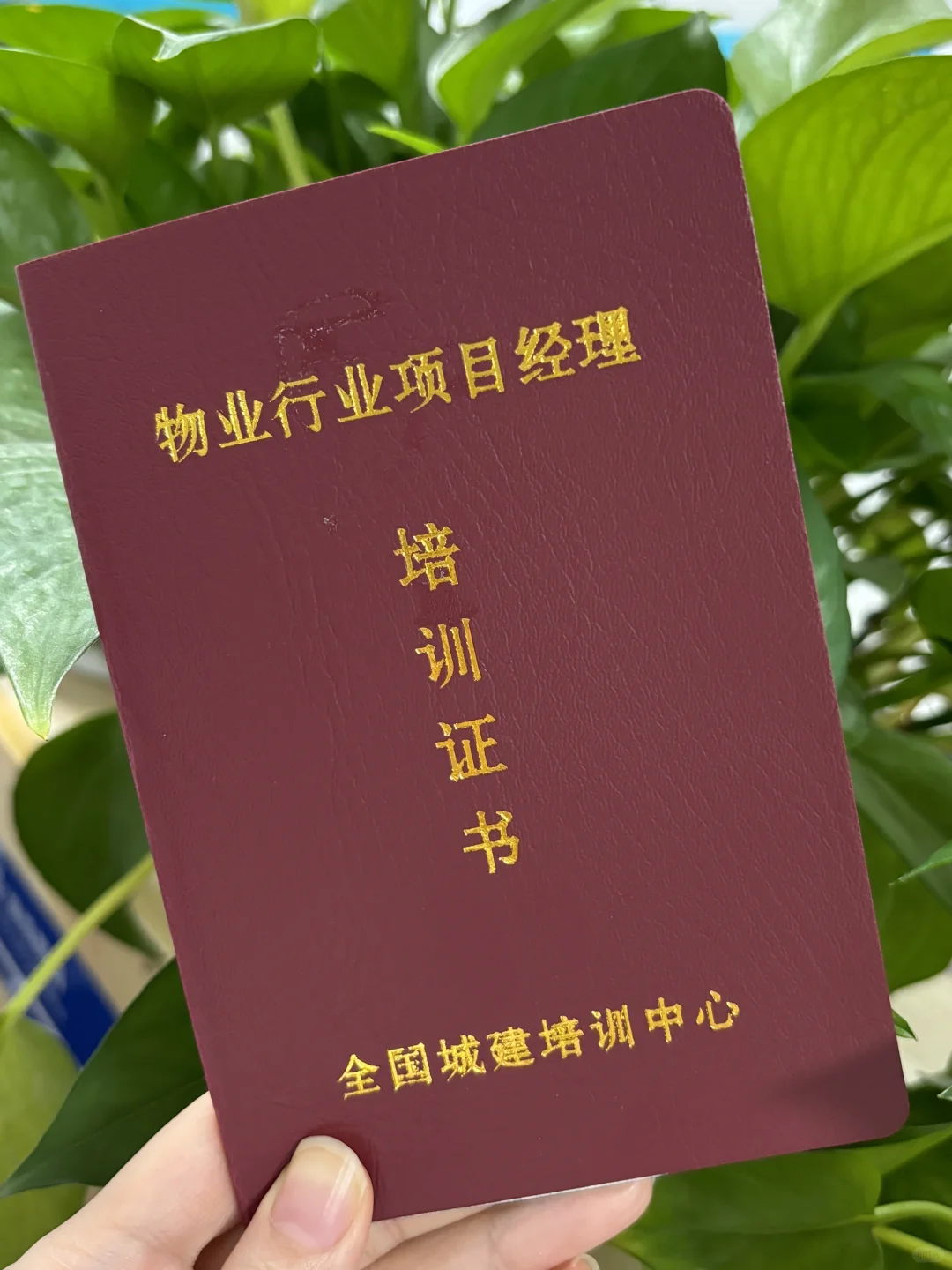 物业从业人员培训证书：物业项目经理培训证
