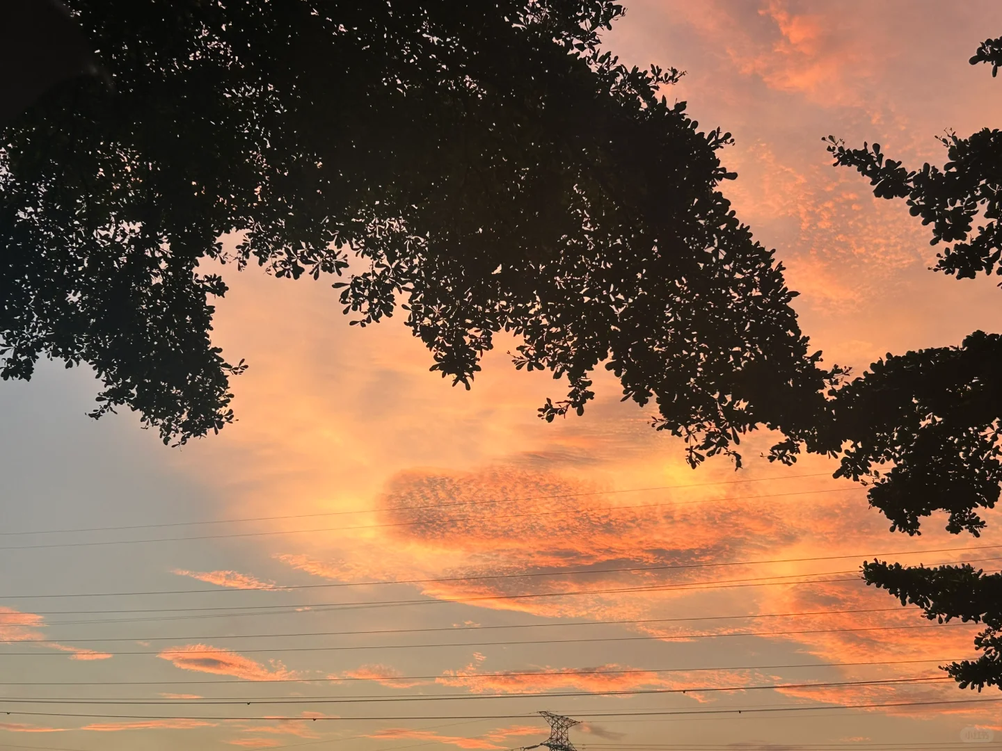 #爆破工程师#爆破工程证