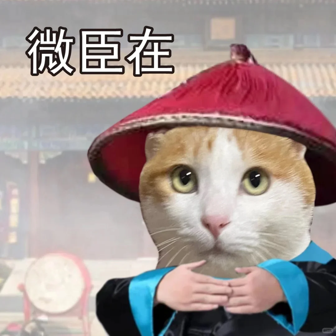 住建厅安全员ABC的区别👏还有不了解的吗？