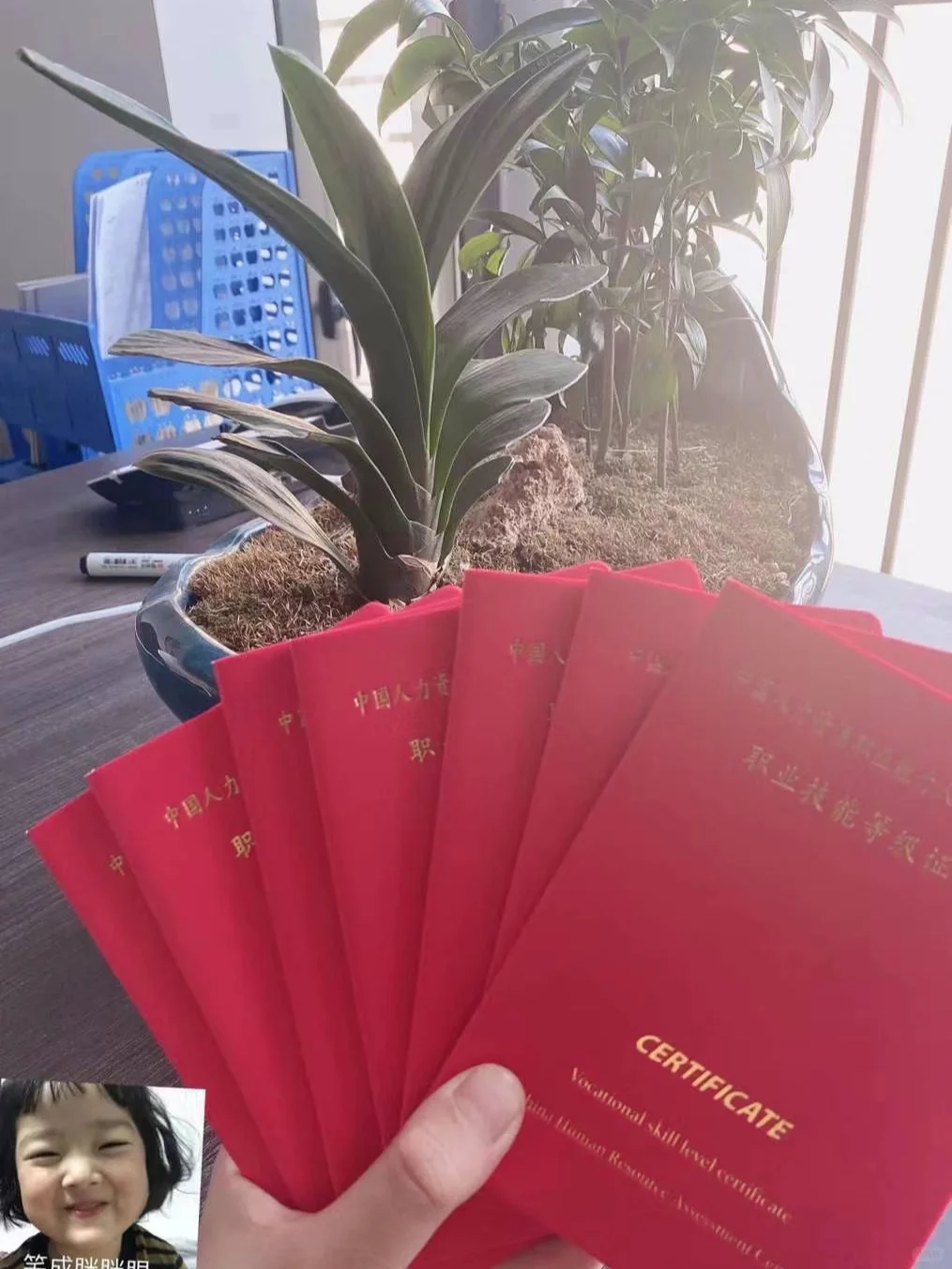 中国人力资源职业证书👍