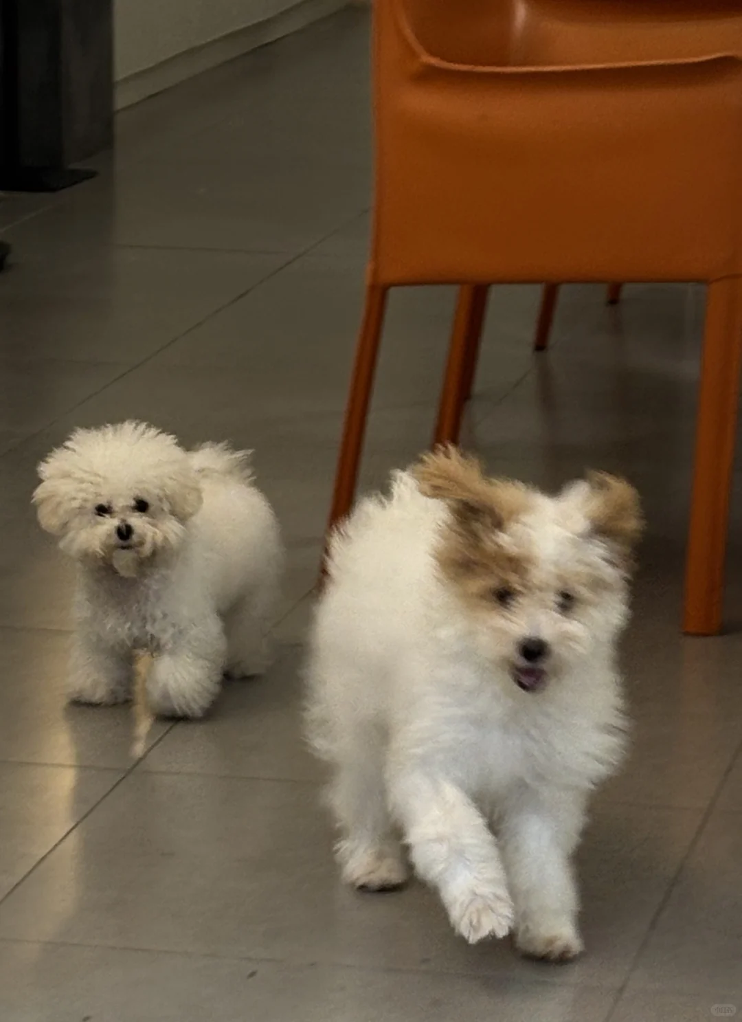 重庆文科生一次过安全员a证经验贴