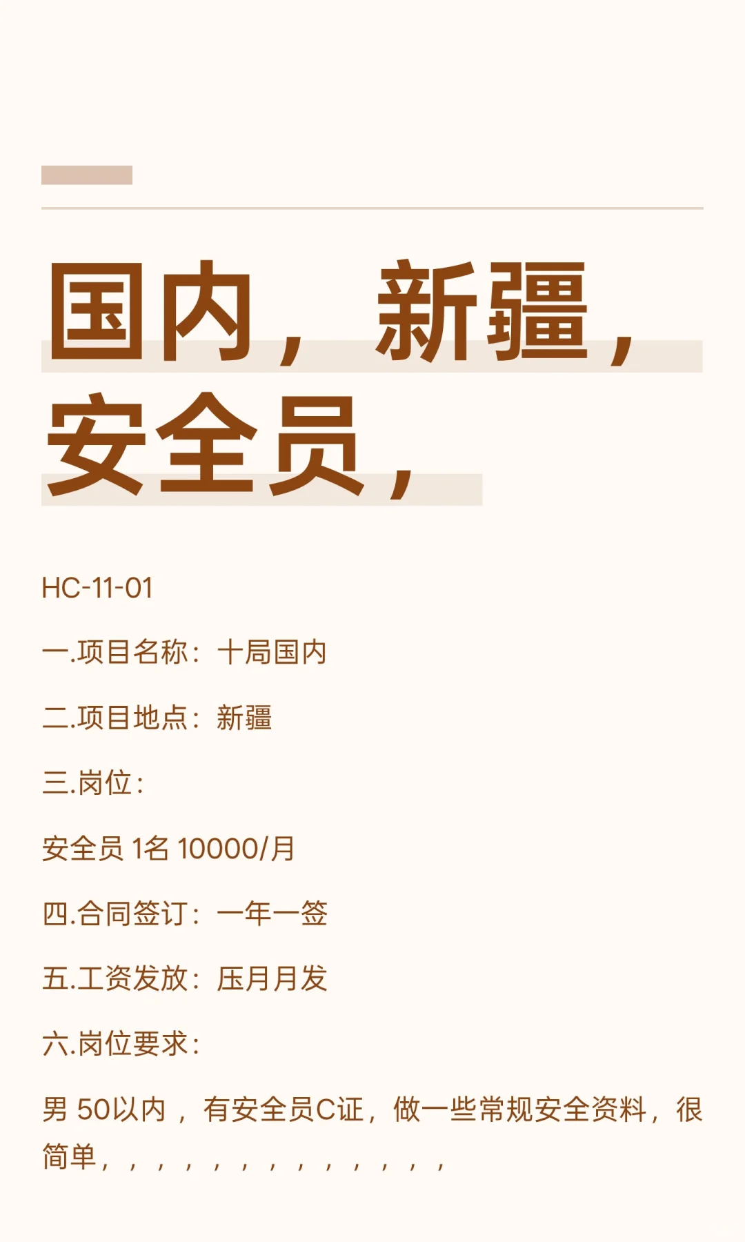 国内，新疆，安全员，