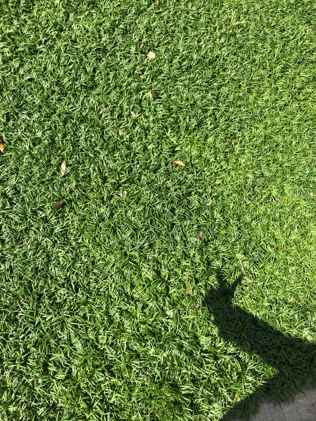 物业客服主管第7天