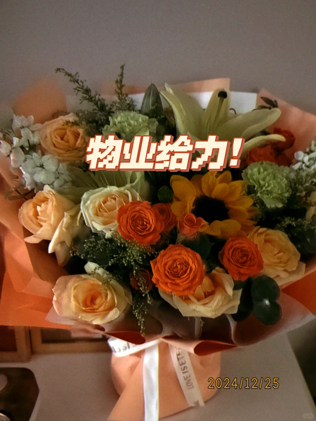 雄安物业真滴非常到位