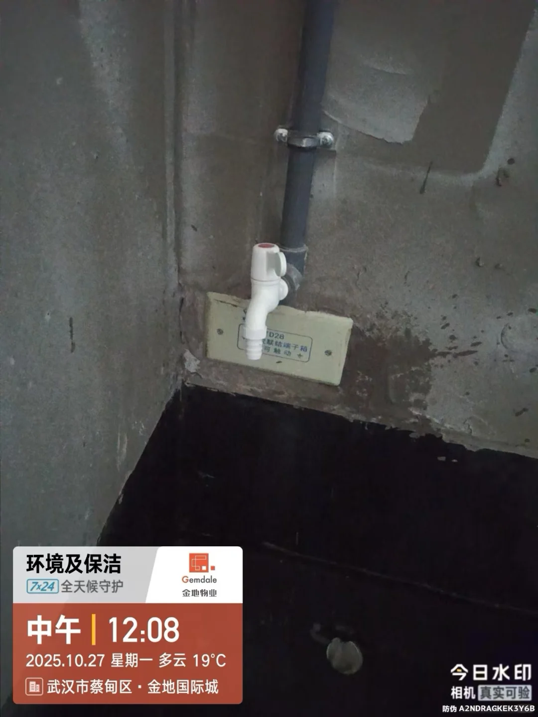 金地物业也不过如此