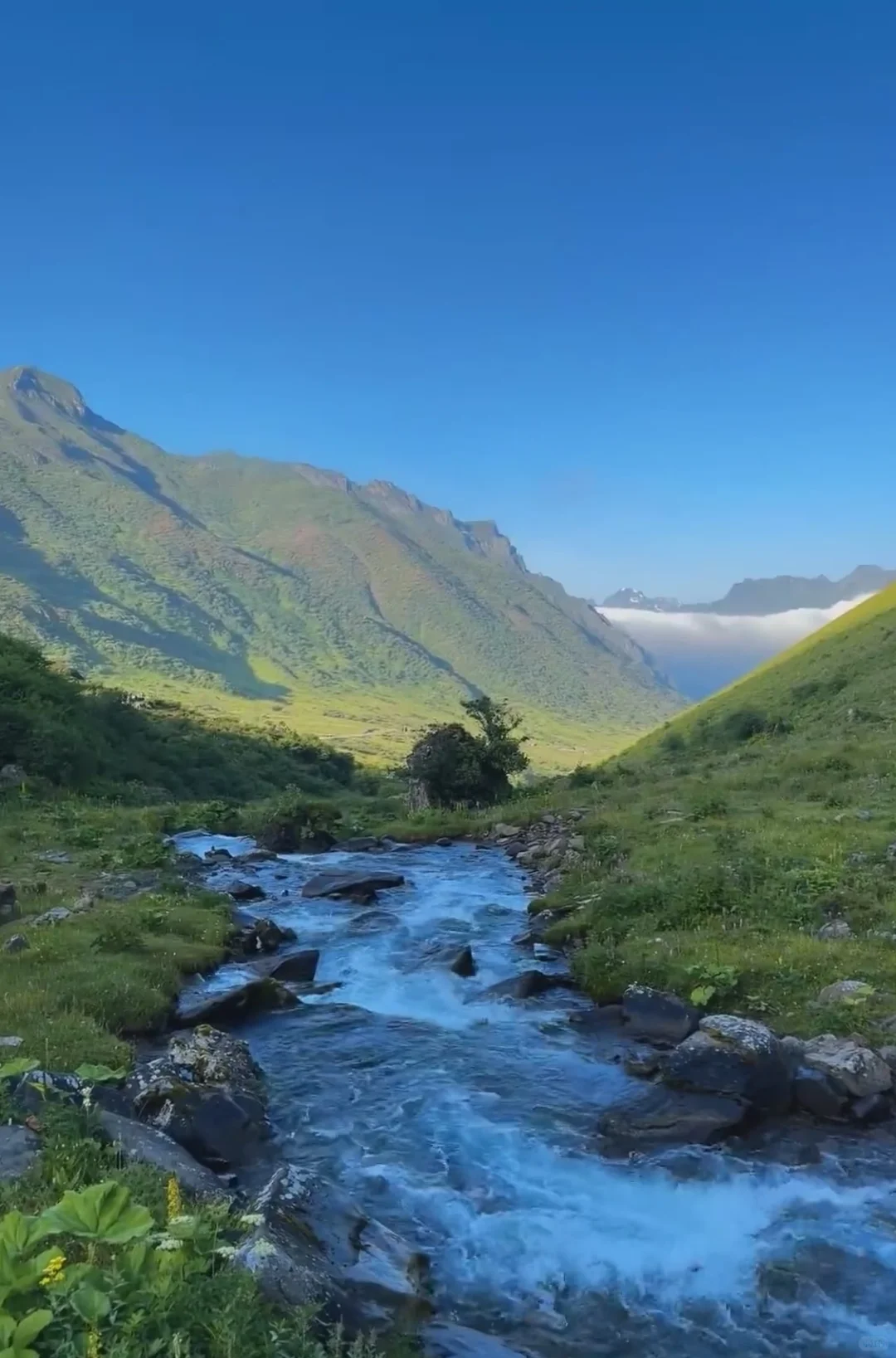 谁有安全员AC证呢